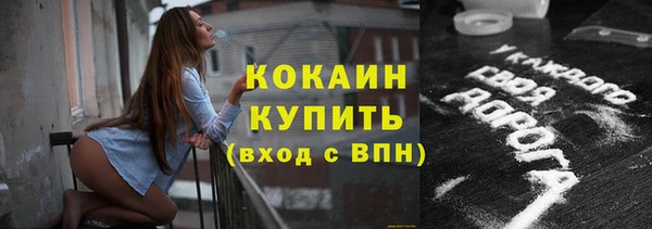 индика Алексин
