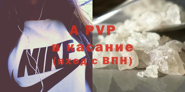 индика Алексин
