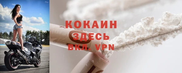 индика Алексин