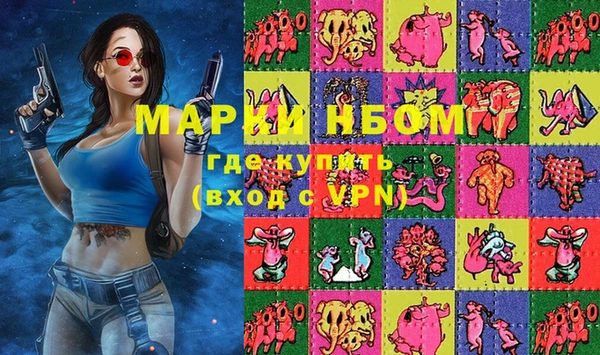 индика Алексин