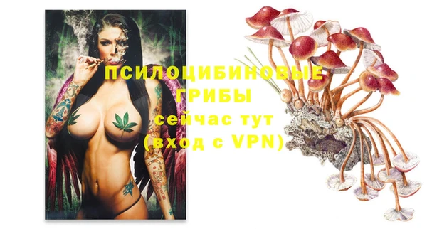 эйфоретик Саяногорск