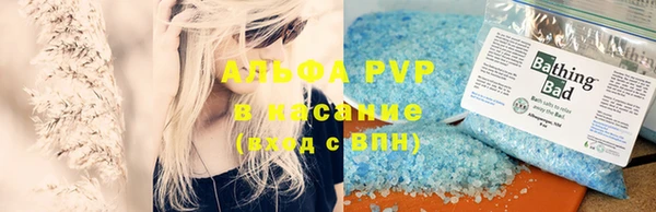 индика Алексин